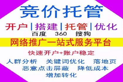 网络营销新篇章：竞价推广案例分析